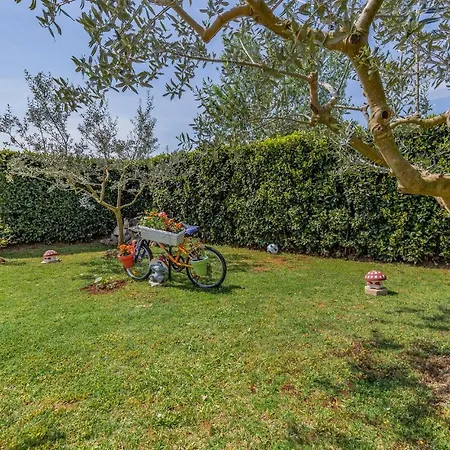 2 Bedroom Gorgeous In Apartment Valbandon